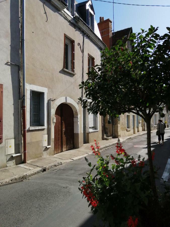 Le Regard De Mona Lisa Apartment Amboise Bagian luar foto