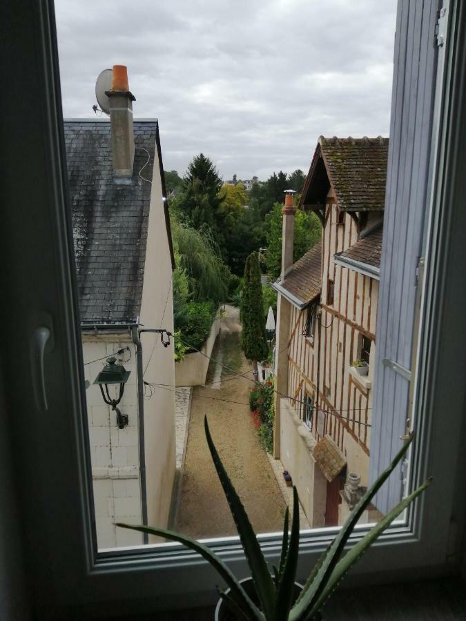 Le Regard De Mona Lisa Apartment Amboise Bagian luar foto